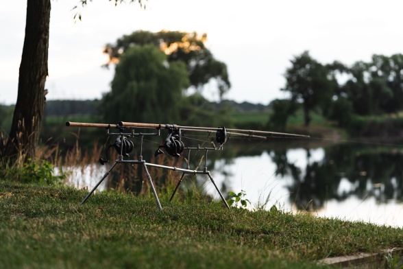 TOP 5 Rod Pod-uri 2025