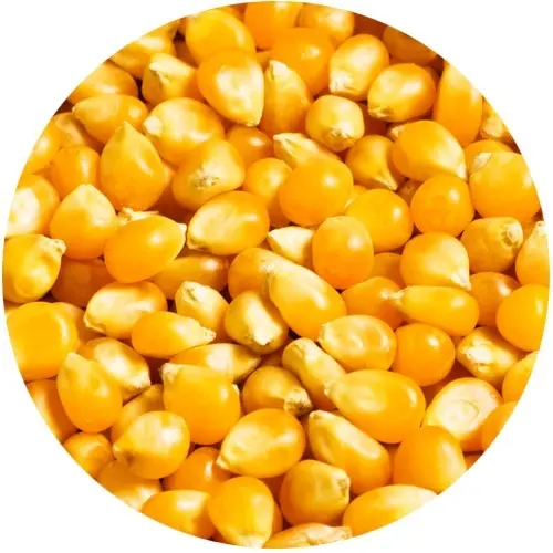 TandemBaits Carp Food Carp Ready - Flavored Corn відмінна полуницясмак відмінна полуниця - MPN: 26101 - EAN: 5907666683996