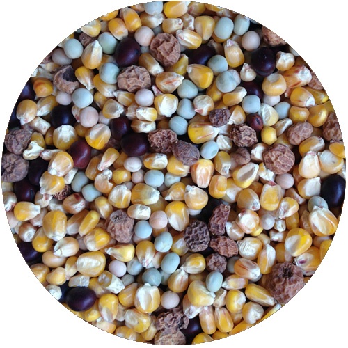 Rockworld Blend Mix ciężar 3 kg