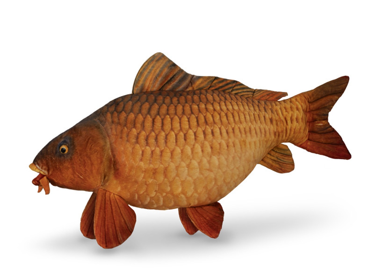Delphin CARPY - Pluszowy Karp - MPN: 101006075