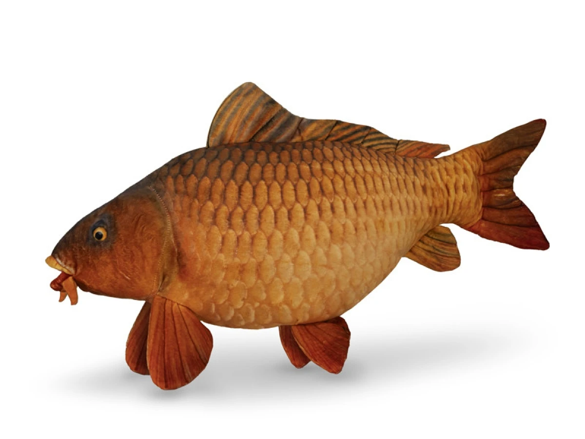 Delphin CARPY - Pliušinis karpis - MPN: 101006075 - EAN: 8585066518345