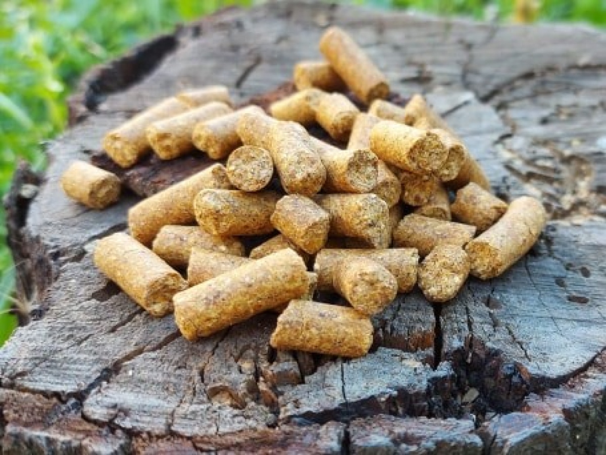 DUDI BAIT Pellet CSLconfezione 6mm / 1kg - MPN: DBPE90 - EAN: 6426390481108