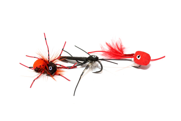 Nash Zig Bugs Actions Bugs