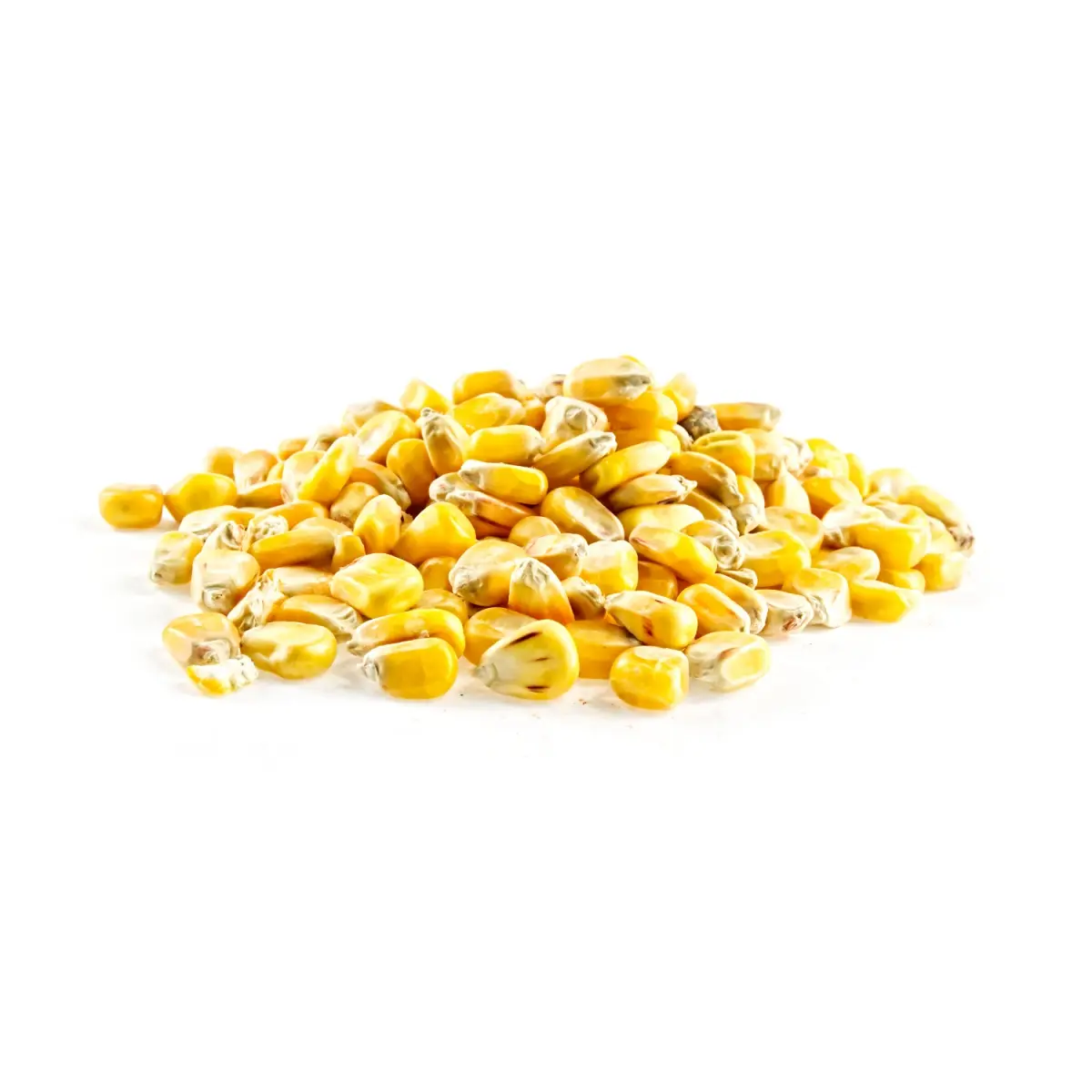 Rockworld - Corn Pelletspackaging 1kg - MPN: 022 - EAN: 200000085506