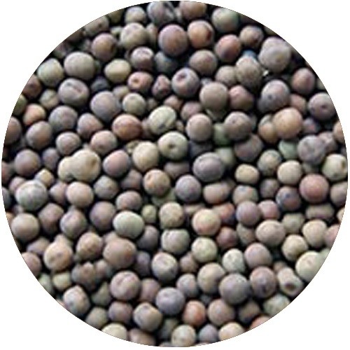 Rockworld - Groch Ziarnoopakowanie 3 kg
