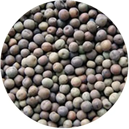Rockworld - Pea Grainpackaging 3 kg - MPN: 032 - EAN: 200000099244
