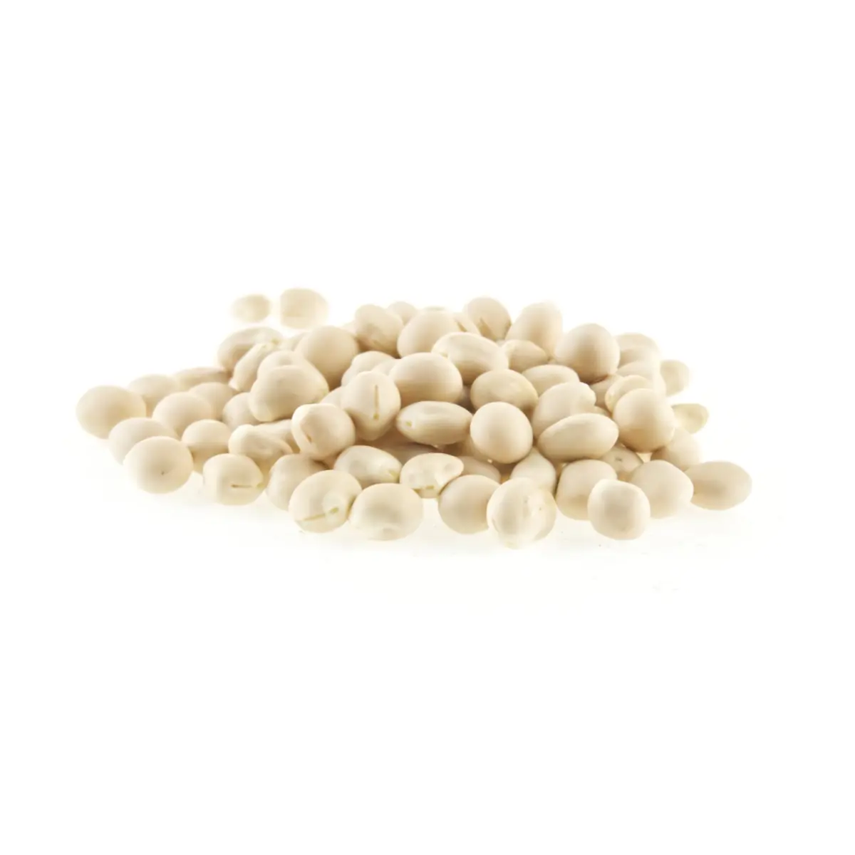 Rockworld - Narrow-Leaved Sweet Lupin Seedpackaging 1 kg - MPN: 037 - EAN: 200000085544