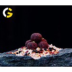 Carp Gravity Bio Secret Boilies - Zołza 18mm / 3kg Carp Gravity Bio Secret Boilies - Zołza 18mm / 3kg
