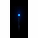 Carp Marker - Głowica Świecąca do Markera Karpiowego