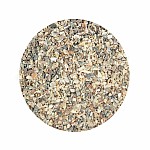 CcMoore Fine Oyster Shell 
