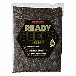 Starbaits Ready Seeds Hemp - Natural 3 kg Starbaits Ready Seeds Hemp - Natural 3 kg