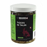 CcMoore Intense Tigers in Talin 2,5 litro CcMoore Intense Tigers in Talin 2,5 litro