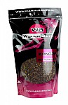 WarmuzBaits 