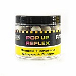 Mivardi Rapid Pop Up Reflex - Scopex Cream Kulki Pływajace POP-UP » Mivardi » Mivardi Rapid Pop Up Reflex - Scopex Cream » Rockworld Sklep dla karpiarzy, Sklep Wędkarski - Kulki proteinowe