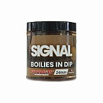 Starbaits PC Boilies in Dip Signal
