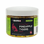CcMoore Hi-Viz Tigers Pineapple
