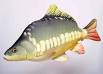 GABY - Plush Carp (Giant 90 cm)