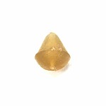 Fox Edges Hook Beads