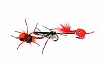 Nash Zig Bugs Actions Bugs