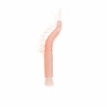 PB Shrimp Aligners