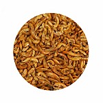 MassiveBaits Gammarus Czerwony 1000 ml MassiveBaits Gammarus Czerwony 1000 ml
