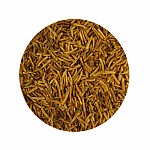 MassiveBaits Białe Robaki 1000 ml