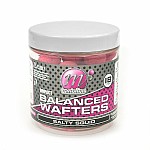 Mainline High Impact Balanced Wafters - Salty Squid 18mm Mainline High Impact Balanced Wafters - Salty Squid 18mm