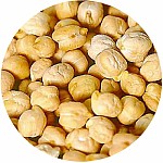 Rockworld - Cieciorka Ziarno