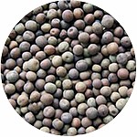 Rockworld  - Groch Ziarno