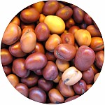 Rockworld - Bobik Ziarno