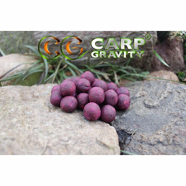 Carp Gravity Alfa Boilies - Secret Forestopakowanie 18mm / 3kg - EAN: 200000051112