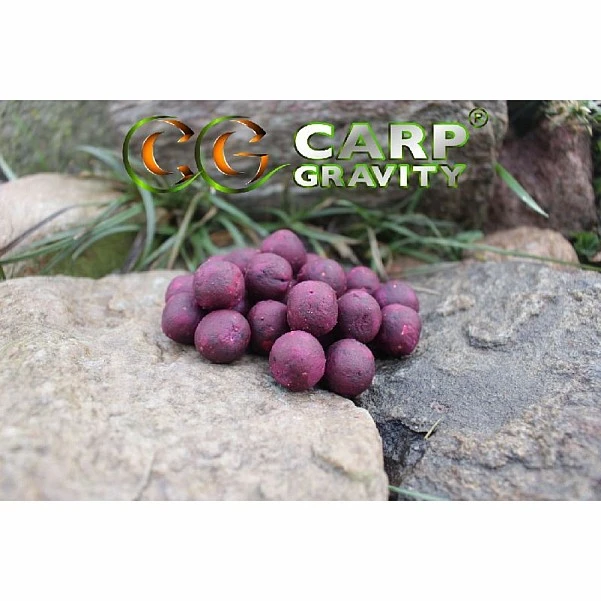 Carp Gravity Alfa Boilies - Secret Forest 18mm / 3kg