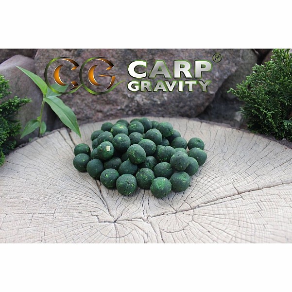 Carp Gravity Black Horse Series Boilies - Green Mussel GLMrozmiar 20mm / 3kg - MPN: KBH012 - EAN: 200000050337