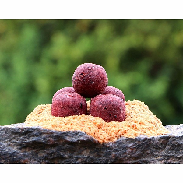 Carp Gravity Black Horse Series Boilies - Arctic KrillGröße 20mm / 1kg - MPN: KBH006 - EAN: 200000050320
