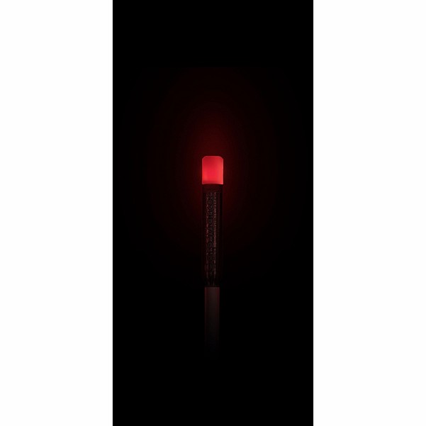 Carp Marker - Tête Lumineuse pour Marqueur à Carpecouleur rouge - MPN: CMAZ009 - EAN: 5904050341128