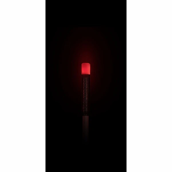 Carp Marker - Glowing Head for Carp Marker Float Red