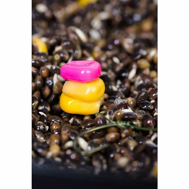 Avid Carp Corn Stops krótkie/wielokolorowe