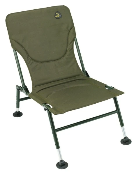 Carp Spirit Level Chair Light