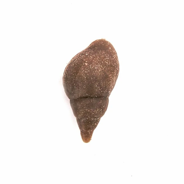 EnterpriseTackle Imitation Snail 9 sztuk