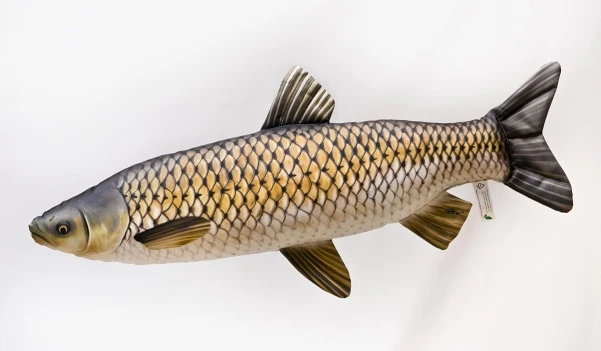 GABY - Plush Grass Carp (Mini 40 cm) 40 cm