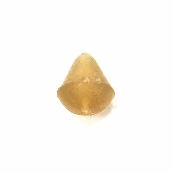 Fox Edges Hook Beads 25 sztuk