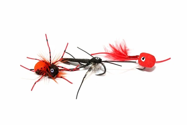 Nash Zig Bugs Actions Bugs