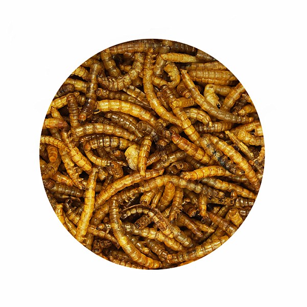 MassiveBaits Larwy MącznikówVerpackung 200 ml - MPN: WP003 - EAN: 5901912663855