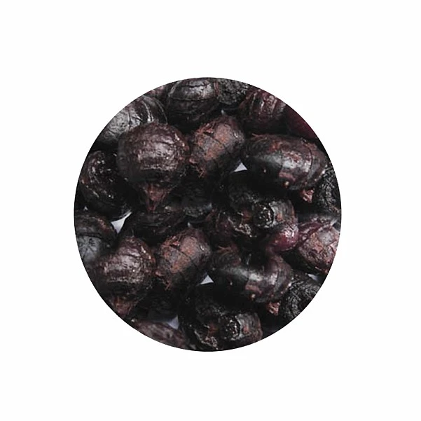 NEW MassiveBaits Orzechy Tygrysie Negro XL