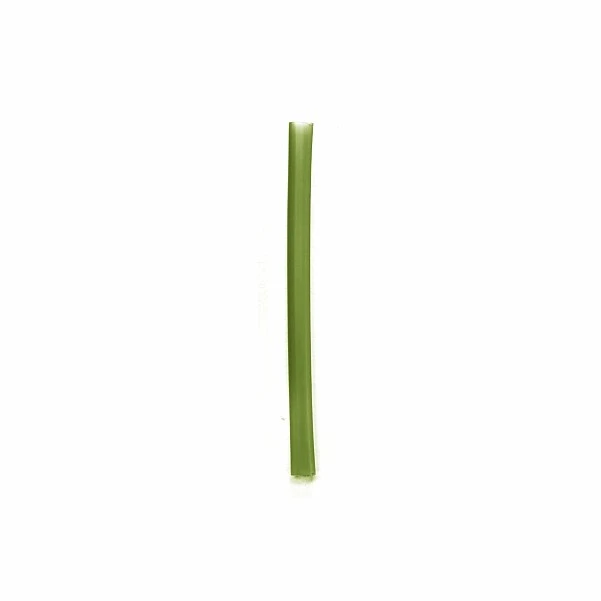RidgeMonkey RM Tec Shrink Tube 2.4mm / Weed Green