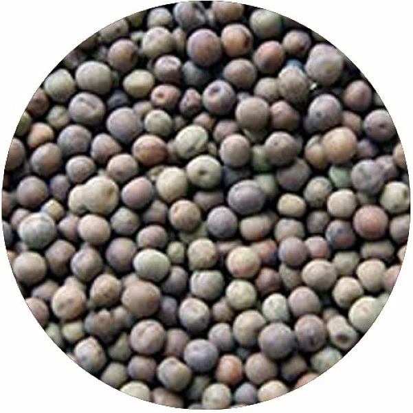 Rockworld  - Groch Ziarno 3 kg