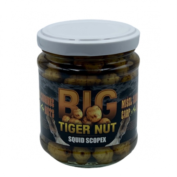 Misel Zadravec Big Tigernut Squid Scopex Misel Zadravec Big Tigernut Squid Scopex