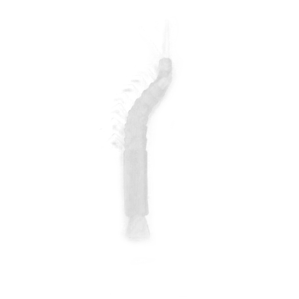 PB Shrimp Aligners PB Shrimp Aligners