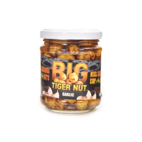 Misel Zadravec Big Tigernut Garlic Misel Zadravec Big Tigernut Garlic