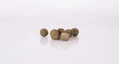 NEW Nash Scopex Squid Cultured Hookbaits
